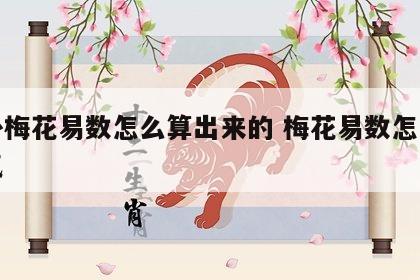 算卦梅花易数怎么算出来的 梅花易数怎么算运气