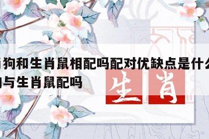 生肖狗和生肖鼠相配吗配对优缺点是什么 生肖狗与生肖鼠配吗