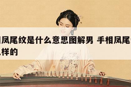 手相凤尾纹是什么意思图解男 手相凤尾纹是什么样的