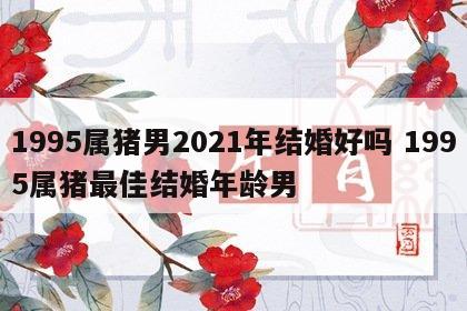 1995属猪男2021年结婚好吗 1995属猪最佳结婚年龄男