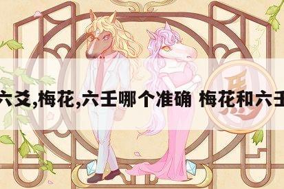 六爻,梅花,六壬哪个准确 梅花和六壬