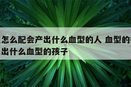 血型怎么配会产出什么血型的人 血型的搭配能生出什么血型的孩子