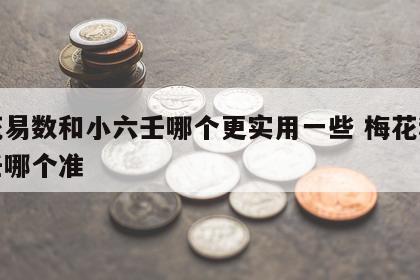 梅花易数和小六壬哪个更实用一些 梅花和小六壬哪个准