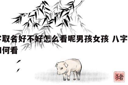 八字取名好不好怎么看呢男孩女孩 八字取名要如何看