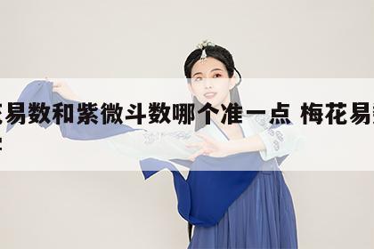 梅花易数和紫微斗数哪个准一点 梅花易数谁厉害