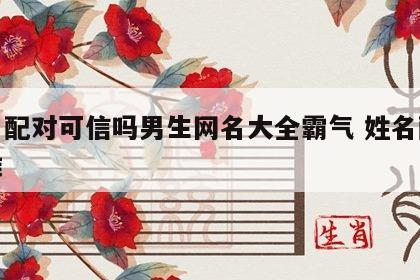 姓名配对可信吗男生网名大全霸气 姓名配对很准