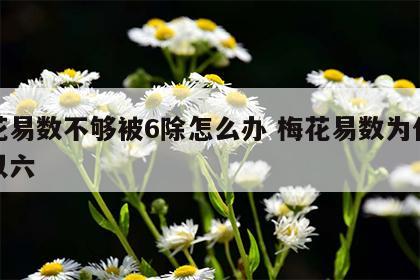 梅花易数不够被6除怎么办 梅花易数为什么除以六