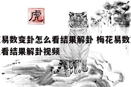 梅花易数变卦怎么看结果解卦 梅花易数变卦怎么看结果解卦视频