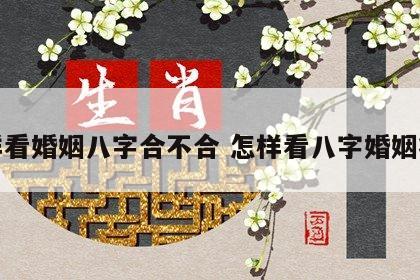 怎样看婚姻八字合不合 怎样看八字婚姻状况