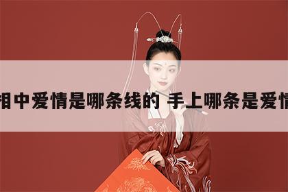 手相中爱情是哪条线的 手上哪条是爱情线
