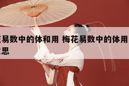 梅花易数中的体和用 梅花易数中的体用是什么意思