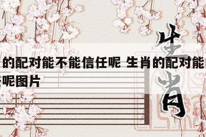 生肖的配对能不能信任呢 生肖的配对能不能信任呢图片