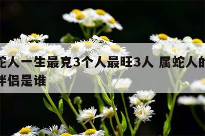 属蛇人一生最克3个人最旺3人 属蛇人的终身伴侣是谁