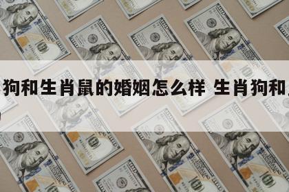 生肖狗和生肖鼠的婚姻怎么样 生肖狗和鼠合适吗