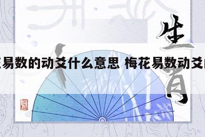 梅花易数的动爻什么意思 梅花易数动爻的取法