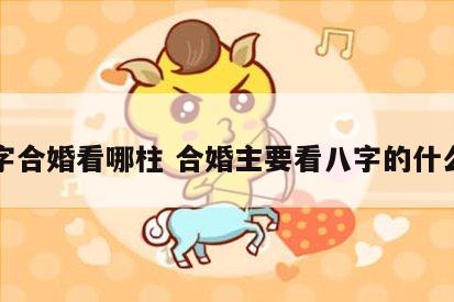 八字合婚看哪柱 合婚主要看八字的什么柱