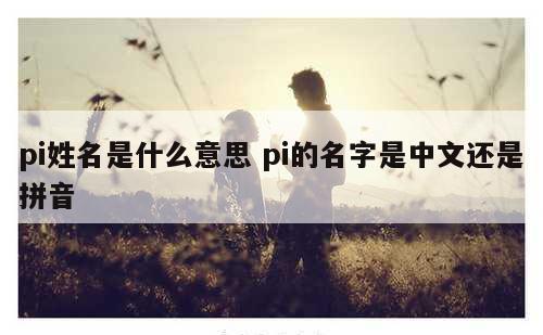 pi姓名是什么意思 pi的名字是中文还是拼音