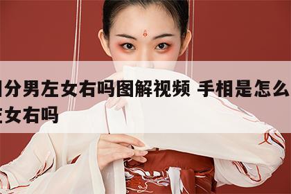 手相分男左女右吗图解视频 手相是怎么看的男左女右吗
