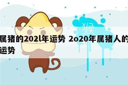 属猪的202l年运势 2o20年属猪人的运势