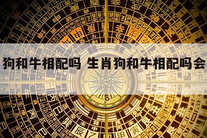 生肖狗和牛相配吗 生肖狗和牛相配吗会怎么样