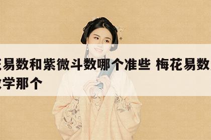 梅花易数和紫微斗数哪个准些 梅花易数紫薇斗数学那个