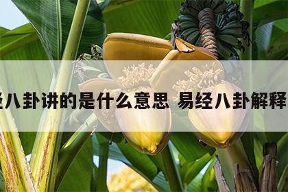 易经八卦讲的是什么意思 易经八卦解释说明