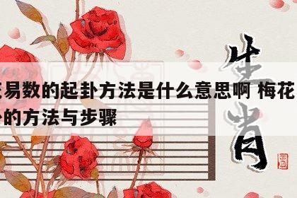 梅花易数的起卦方法是什么意思啊 梅花易数起卦的方法与步骤