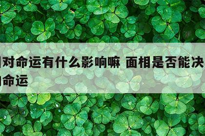 面相对命运有什么影响嘛 面相是否能决定人生的命运