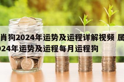生肖狗2024年运势及运程详解视频 属狗2024年运势及运程每月运程狗