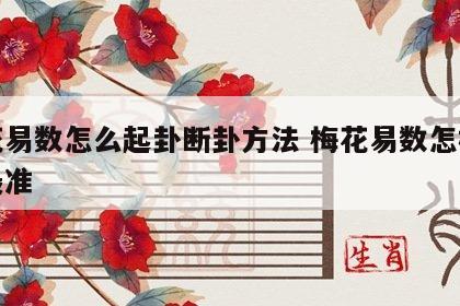 梅花易数怎么起卦断卦方法 梅花易数怎样起卦最准