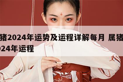 属猪2024年运势及运程详解每月 属猪人2024年运程