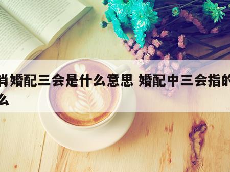 生肖婚配三会是什么意思 婚配中三会指的是什么