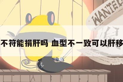 血型不符能捐肝吗 血型不一致可以肝移植吗