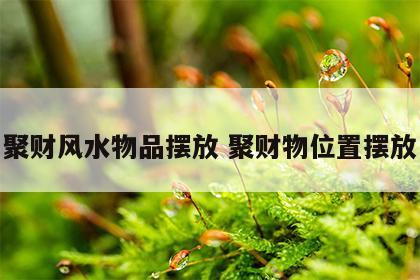 聚财风水物品摆放 聚财物位置摆放