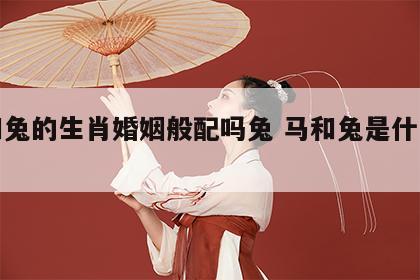 马和兔的生肖婚姻般配吗兔 马和兔是什么婚配