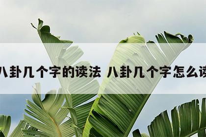 八卦几个字的读法 八卦几个字怎么读