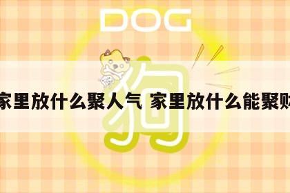 家里放什么聚人气 家里放什么能聚财