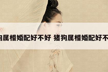 猪狗属相婚配好不好 猪狗属相婚配好不好?