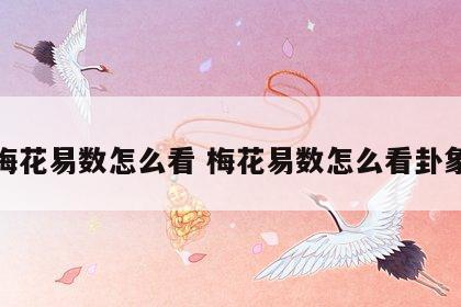 梅花易数怎么看 梅花易数怎么看卦象