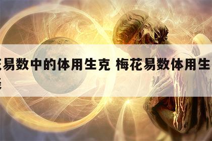 梅花易数中的体用生克 梅花易数体用生克断卦表