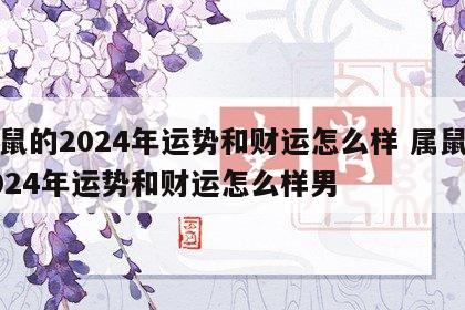 属鼠的2024年运势和财运怎么样 属鼠的2024年运势和财运怎么样男