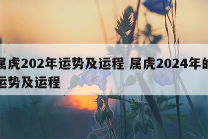 属虎202年运势及运程 属虎2024年的运势及运程