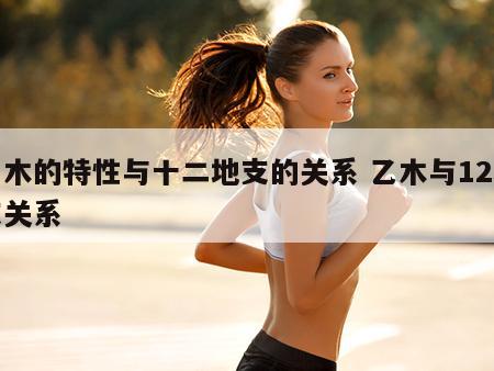 乙木的特性与十二地支的关系 乙木与12地支关系
