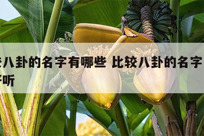 比较八卦的名字有哪些 比较八卦的名字有哪些好听