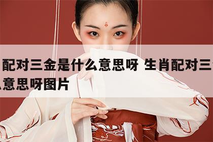 生肖配对三金是什么意思呀 生肖配对三金是什么意思呀图片