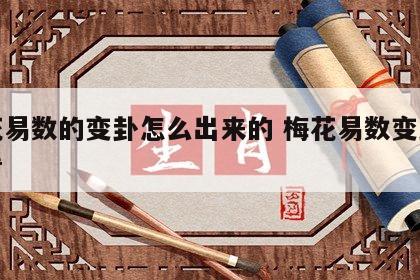 梅花易数的变卦怎么出来的 梅花易数变卦怎么看