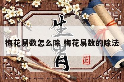 梅花易数怎么除 梅花易数的除法