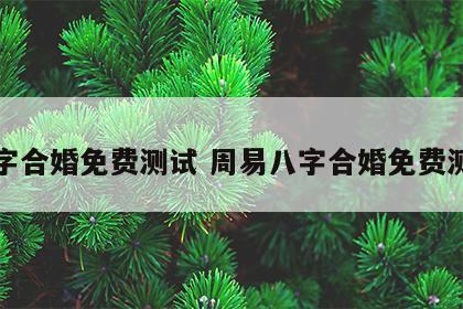 八字合婚免费测试 周易八字合婚免费测试