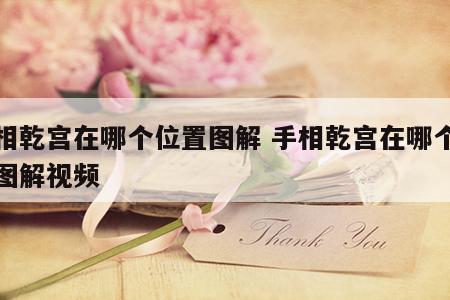 手相乾宫在哪个位置图解 手相乾宫在哪个位置图解视频