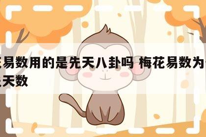 梅花易数用的是先天八卦吗 梅花易数为什么用先天数